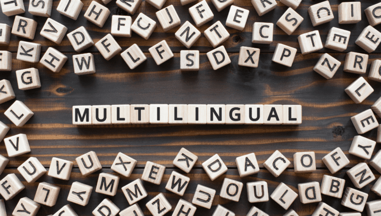 WordPress Multilingual Support